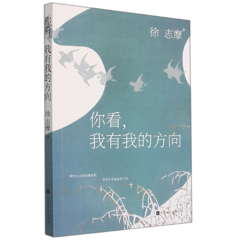 你看我有我的方向/轻经典系列