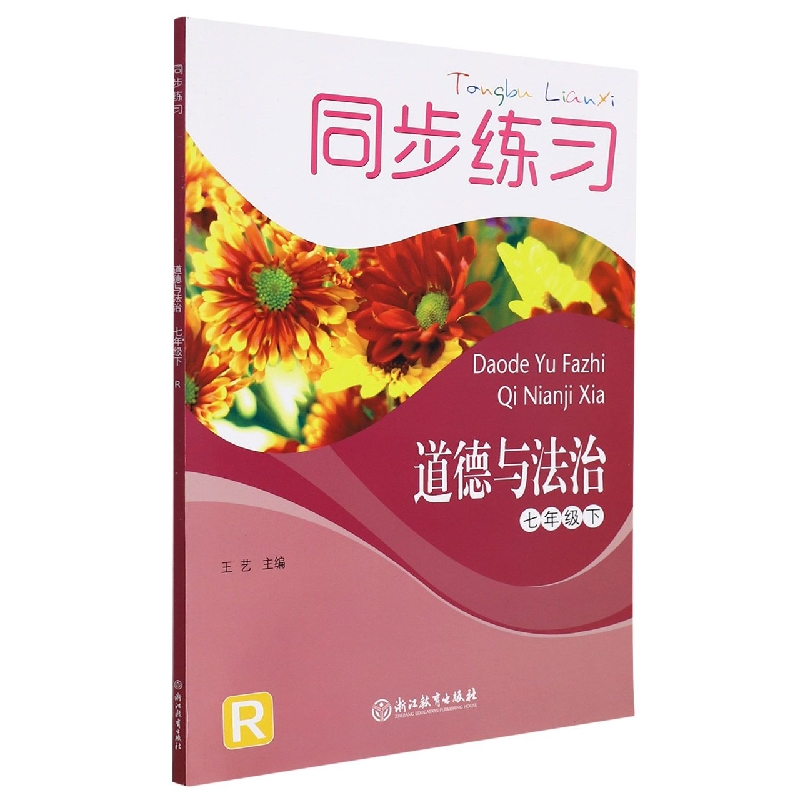 道德与法治同步练习（7下R）