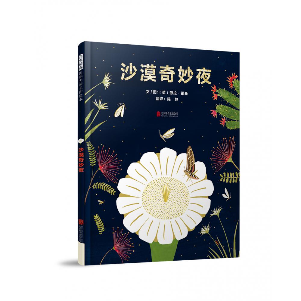 沙漠奇妙夜