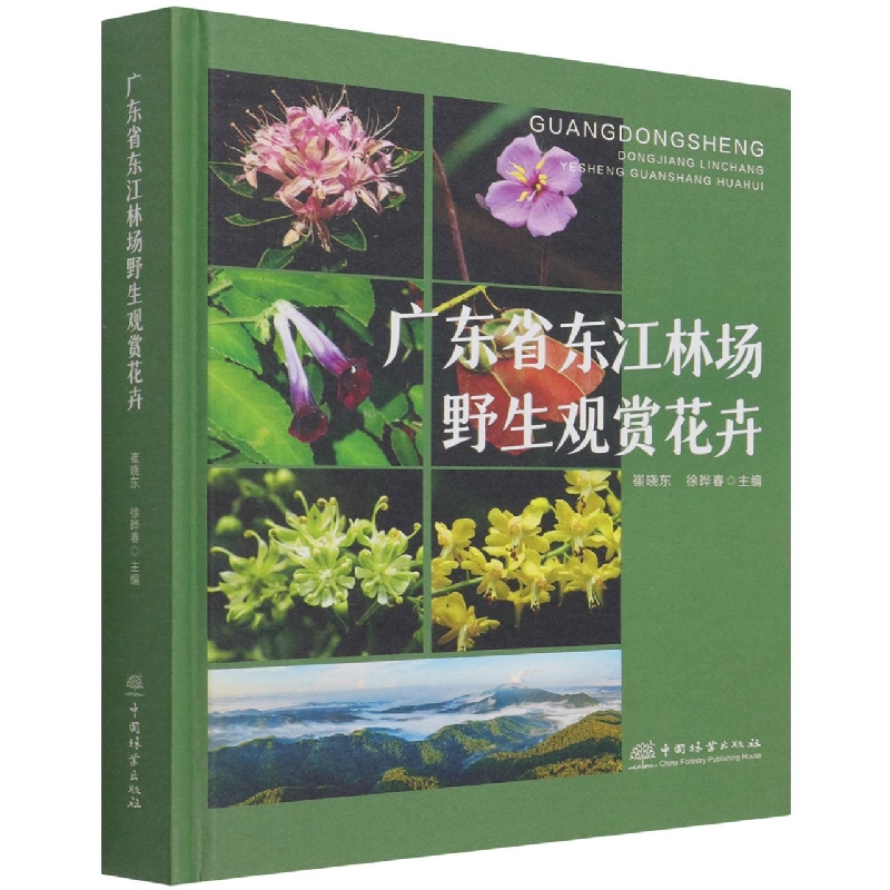 广东省东江林场野生观赏花卉（精）