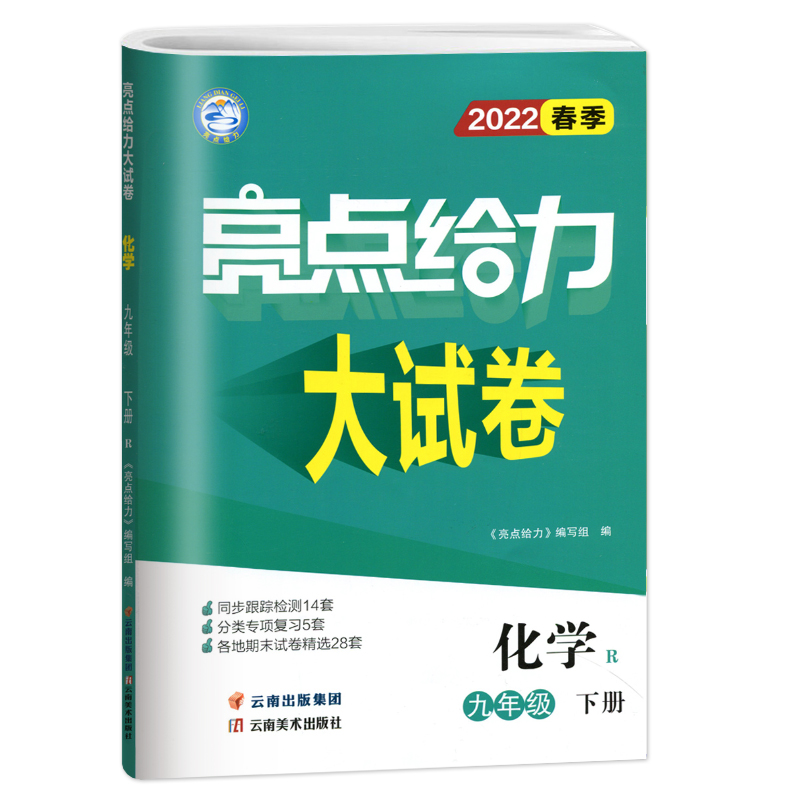 2022春亮点给力 大试卷 9年级化学下册（人教版）