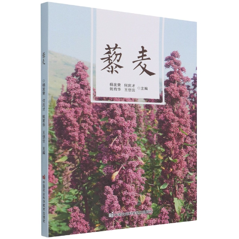 藜麦