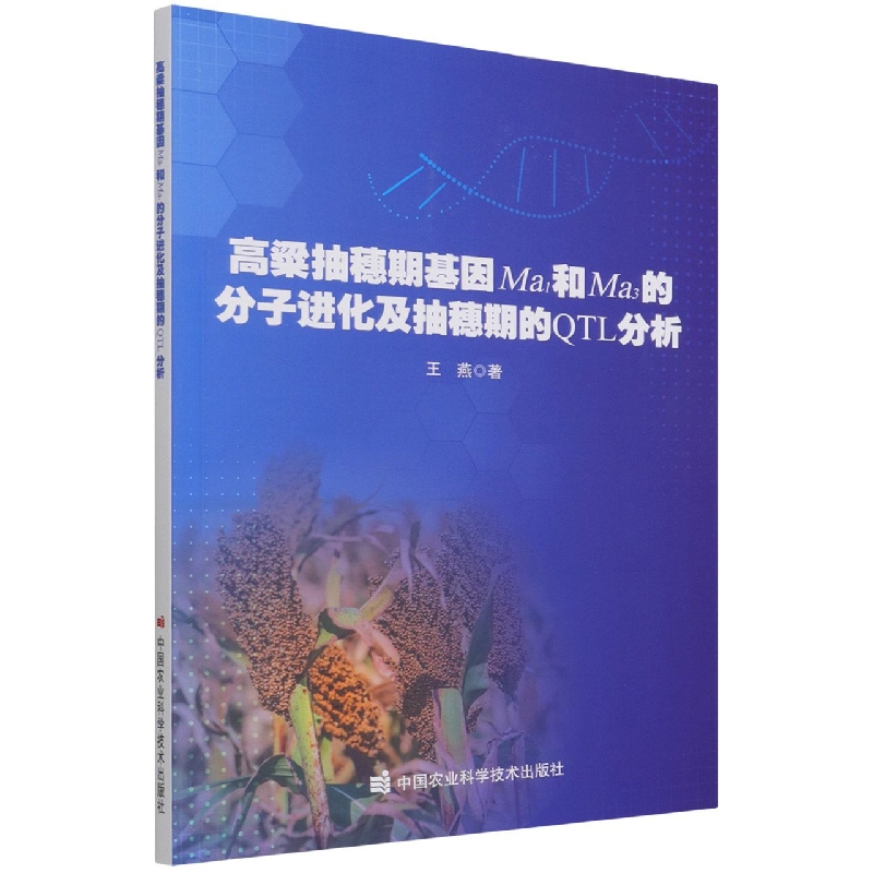 高粱抽穗期基因Ma1和Ma3的分子进化及抽穗期的QTL分析