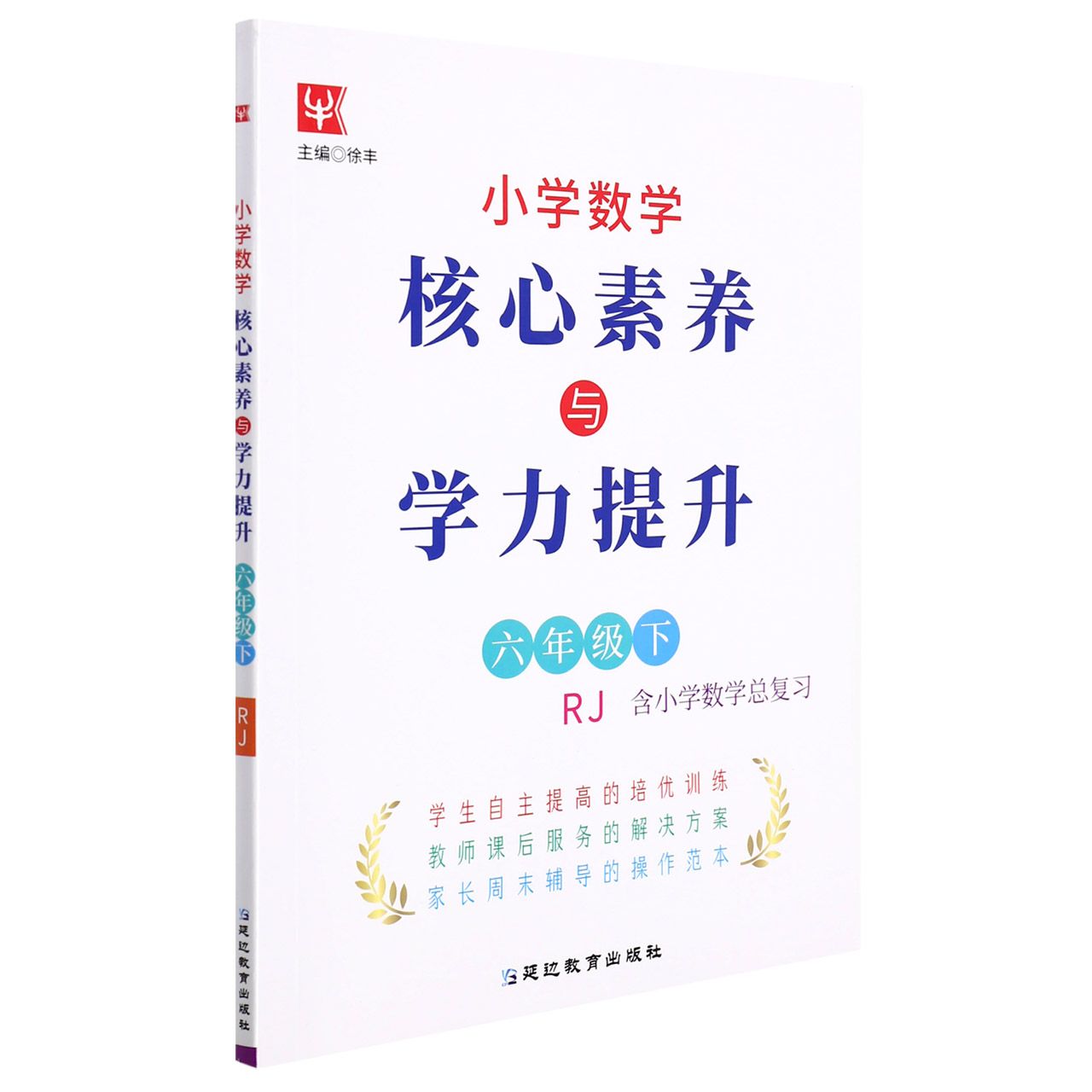 小学数学核心素养与学力提升(6下RJ)