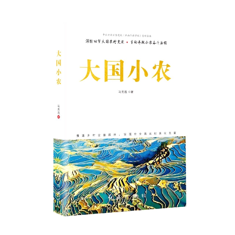 大国小农