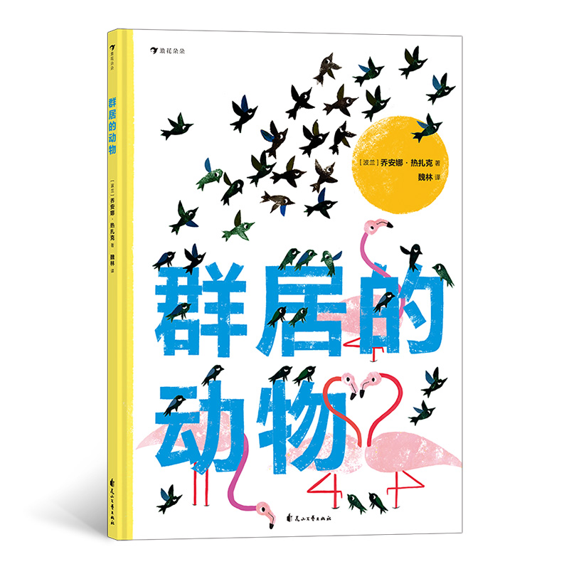 群居的动物