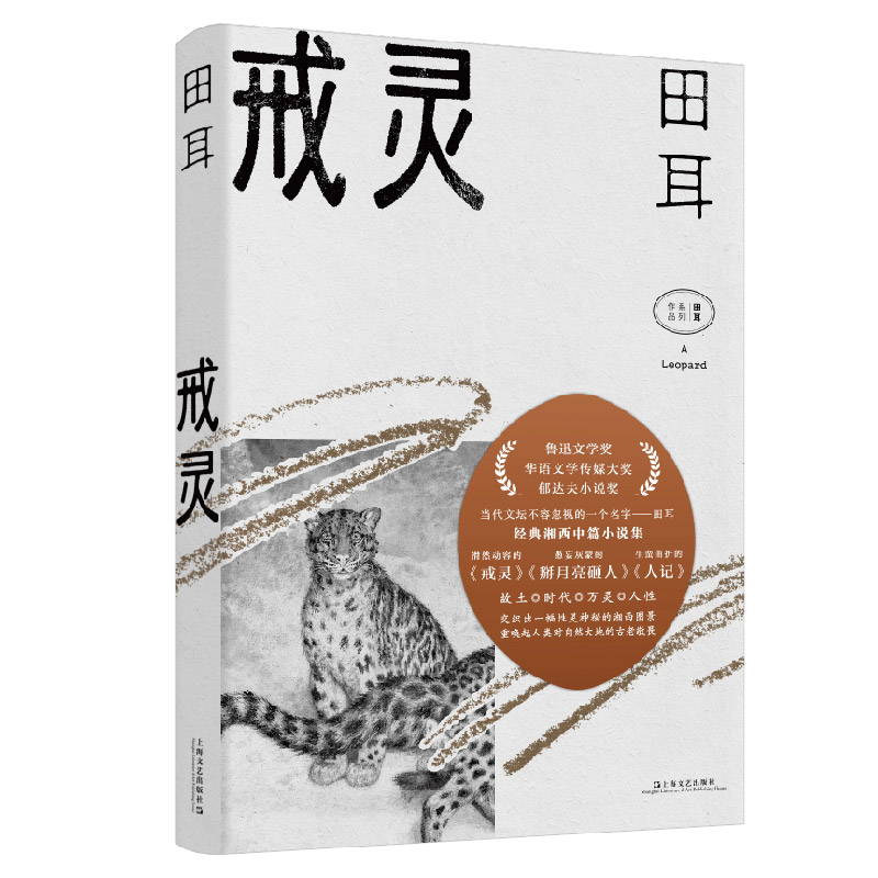 戒灵(田耳作品)