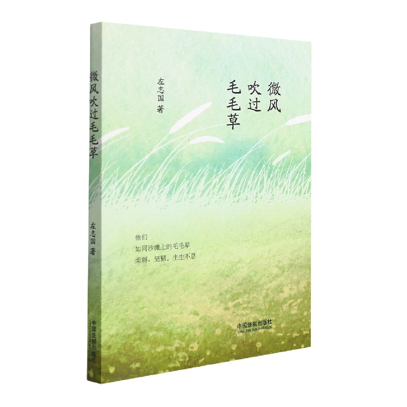 微风吹过毛毛草