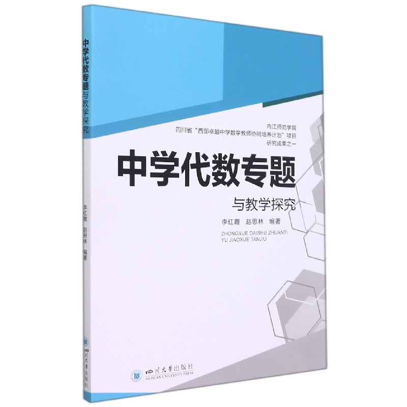 中学代数专题与教学探究