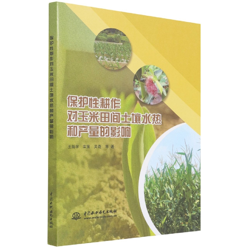 保护性耕作对玉米田间土壤水热和产量的影响