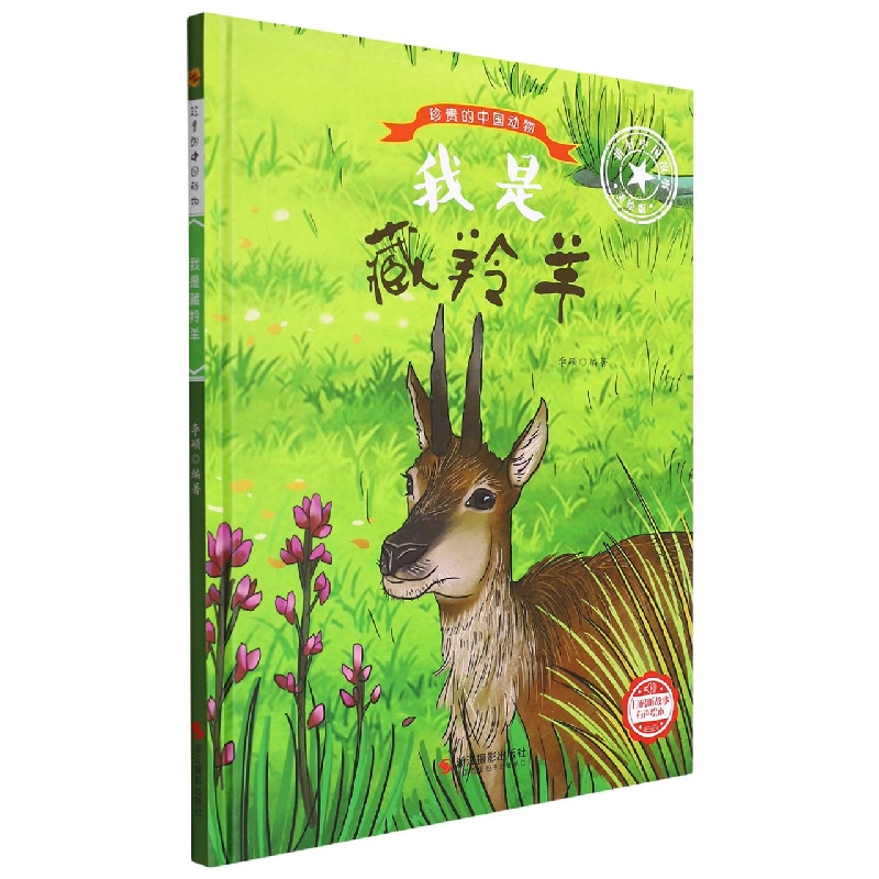 我是藏羚羊