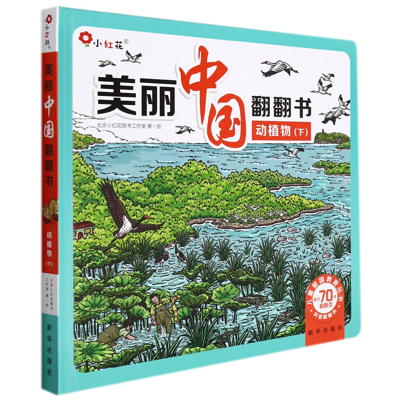 美丽中国翻翻书·动植物下