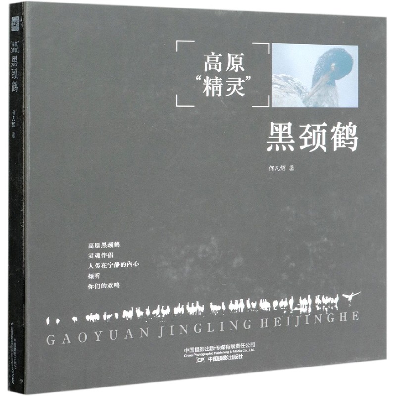 高原精灵黑颈鹤(精)