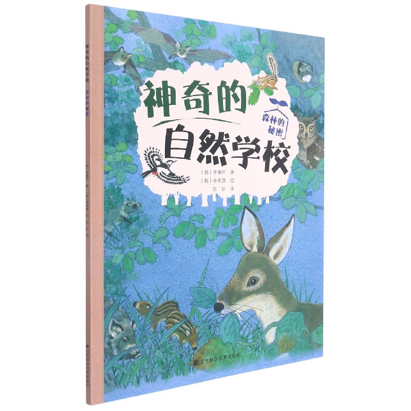 神奇的自然学校-森林的秘密