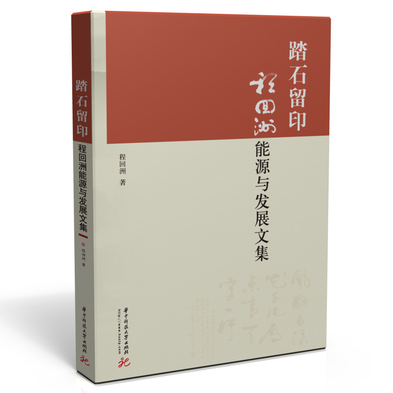 踏石留印:程回洲能源与发展文集