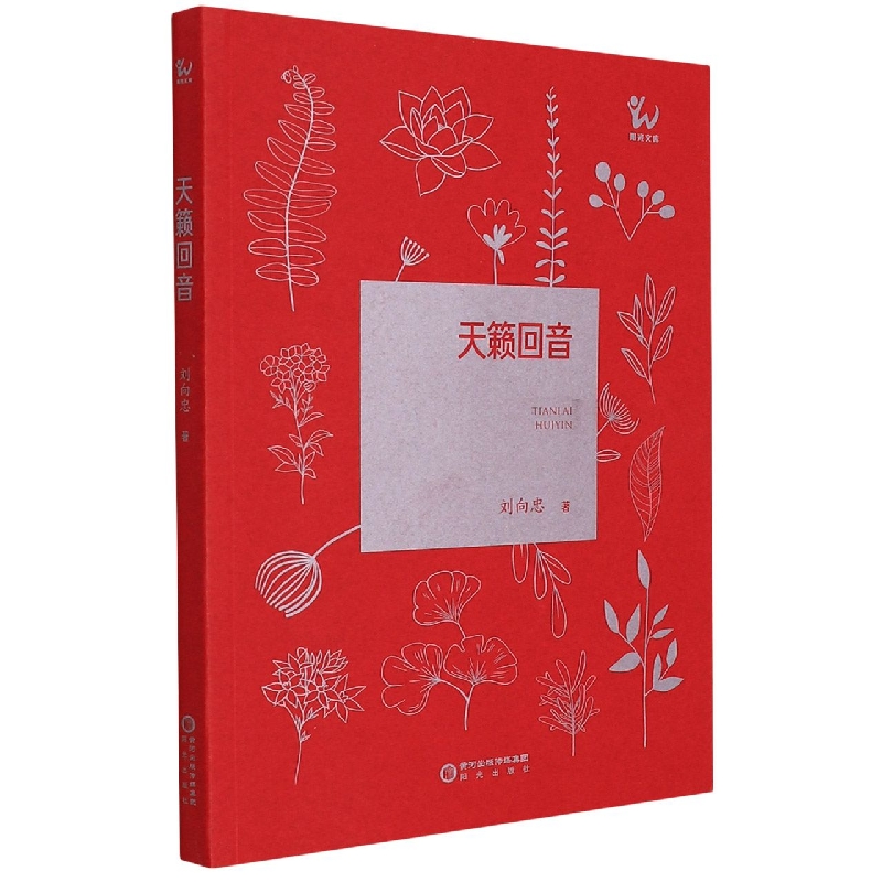 天籁回音