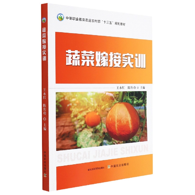 蔬菜嫁接实训