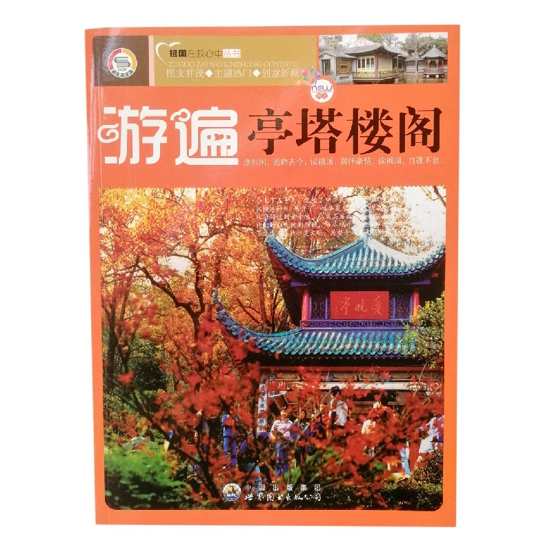 游遍亭塔楼阁/祖国在我心中丛书