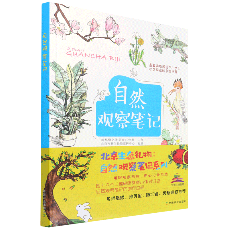 自然观察笔记