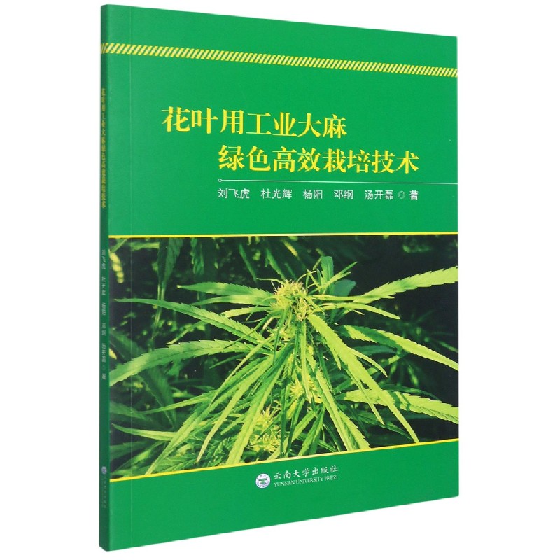 花叶用工业大麻绿色高效栽培技术