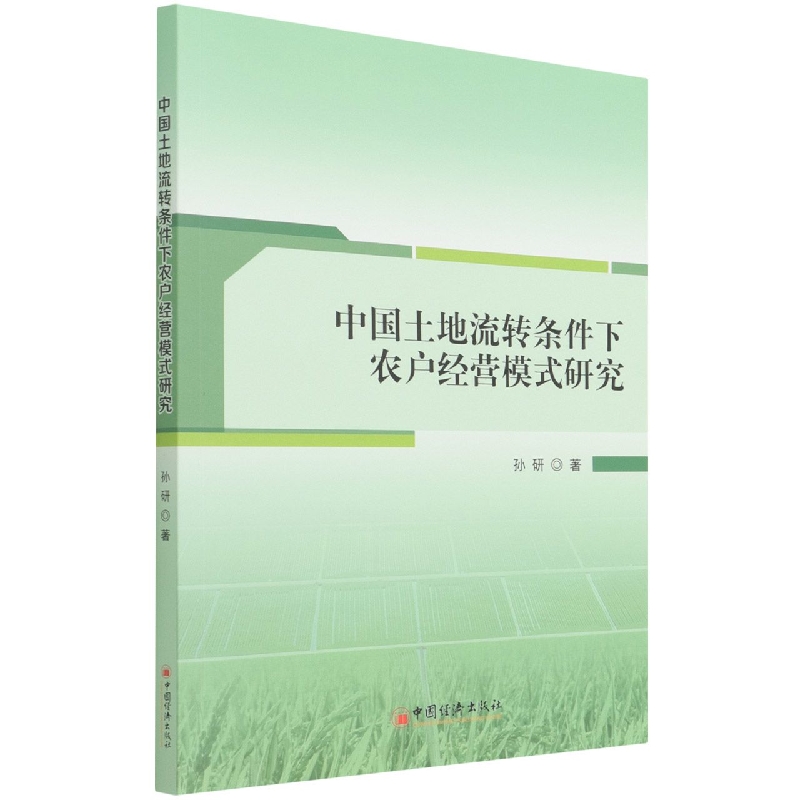中国土地流转条件下农户经营模式研究