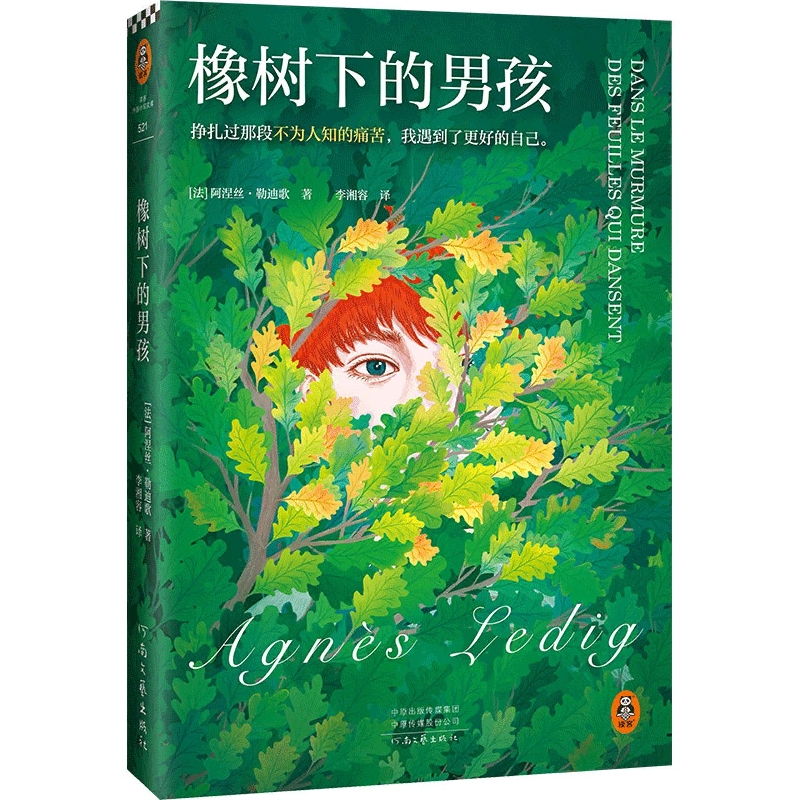 橡树下的男孩
