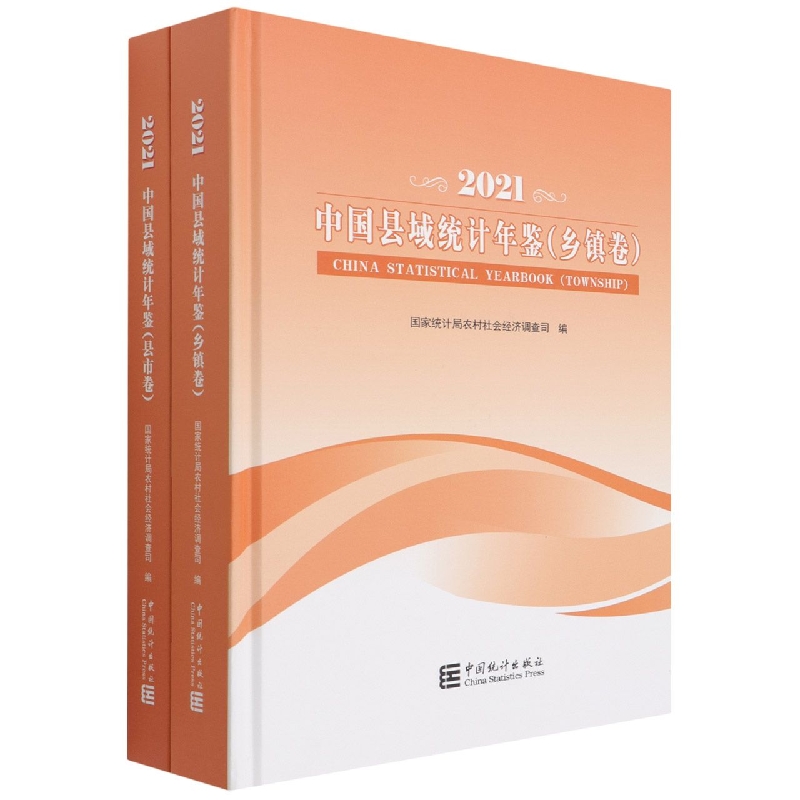 中国县域统计年鉴-2021（县市卷、乡镇卷）...