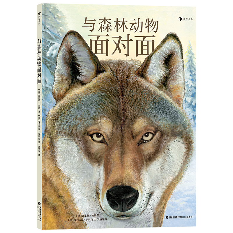 与森林动物面对面