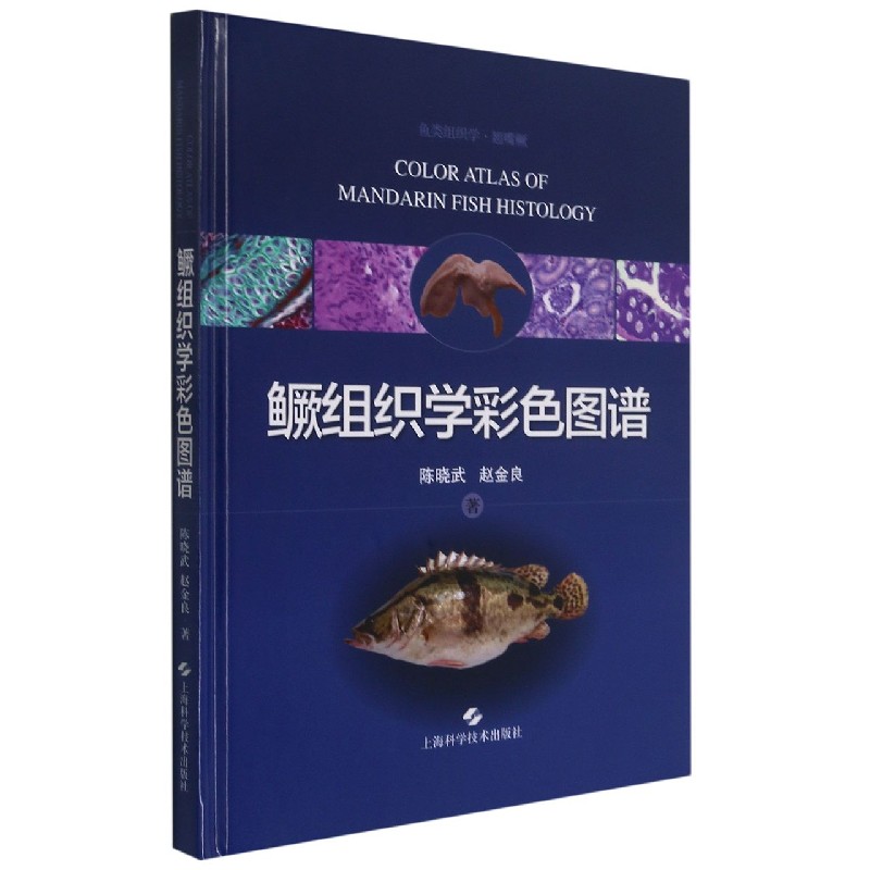 鳜组织学彩色图谱