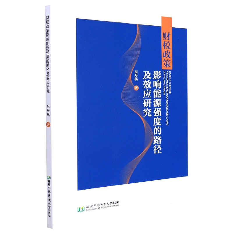 财税政策影响能源强度的路径及效应研究