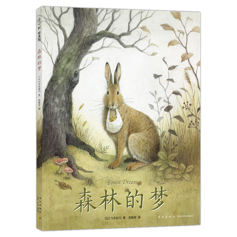 森林的梦