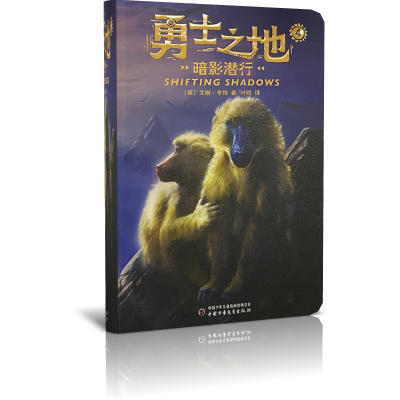 勇士之地（4）——暗影潜行