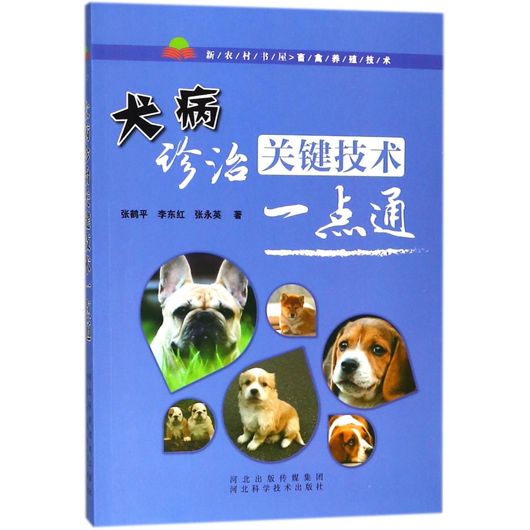 犬病诊治关键技术一点通/新农村书屋畜禽养殖技术