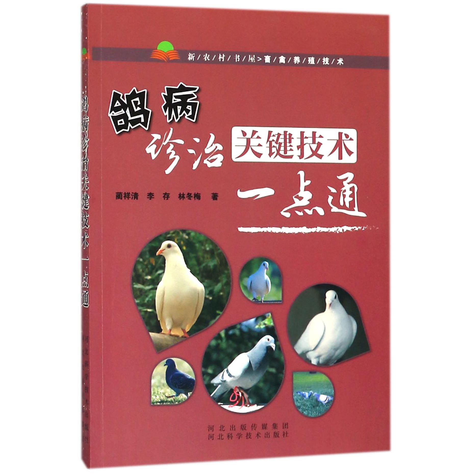 鸽病诊治关键技术一点通/新农村书屋畜禽养殖技术