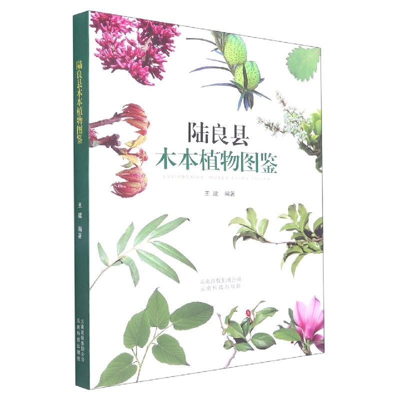 陆良县木本植物图鉴
