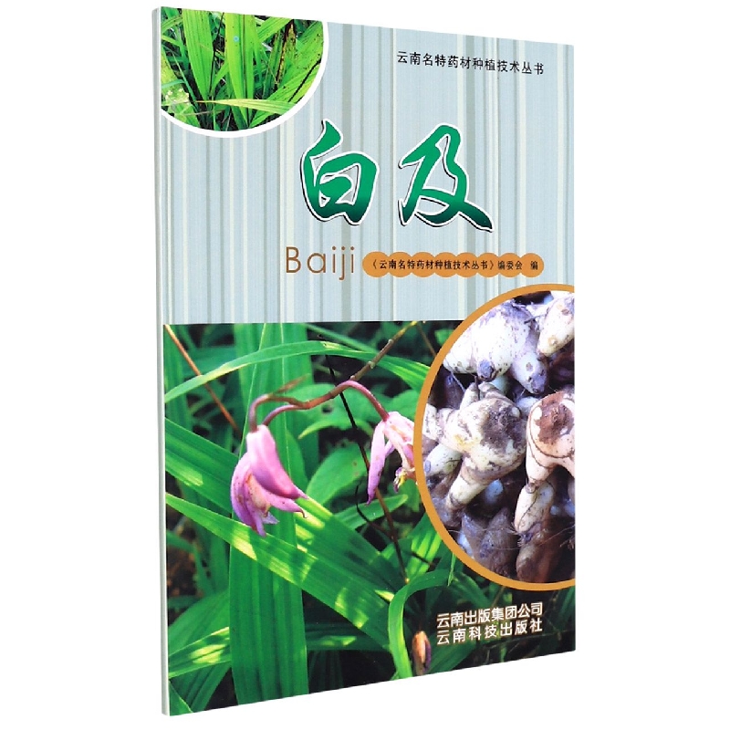 白芨/云南名特药材种植技术丛书