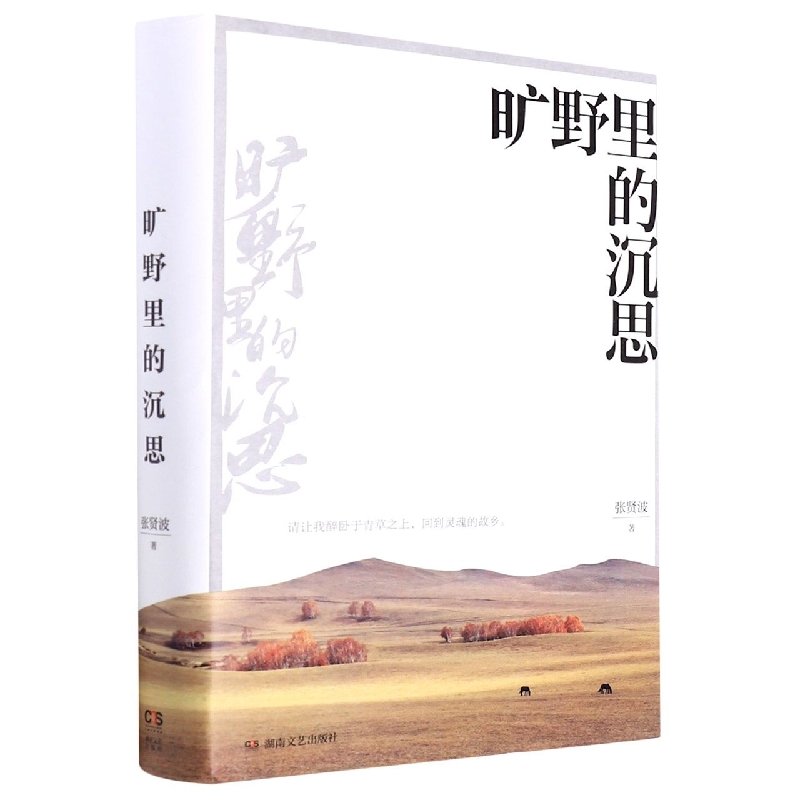 旷野里的沉思