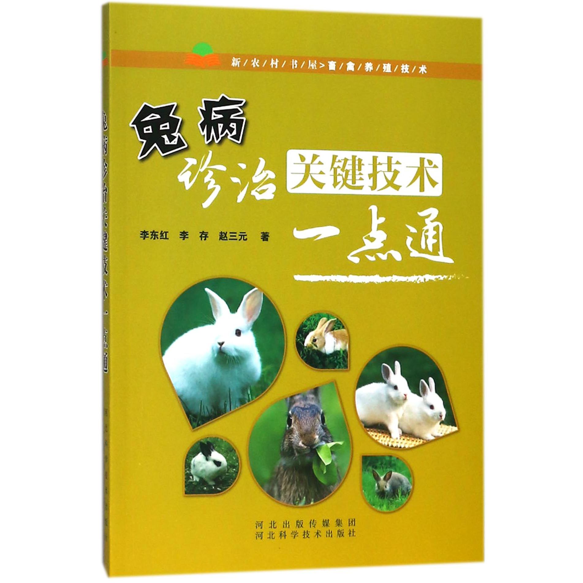 兔病诊治关键技术一点通/新农村书屋畜禽养殖技术