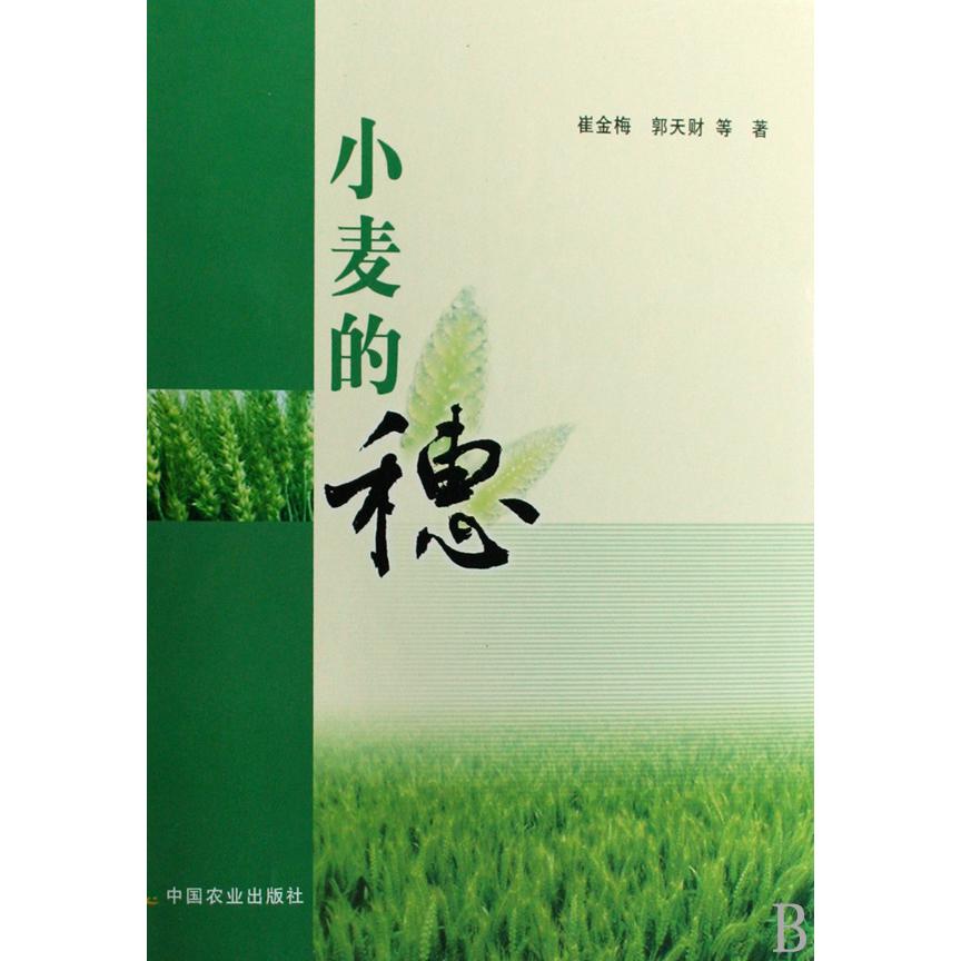 小麦的穗（精）