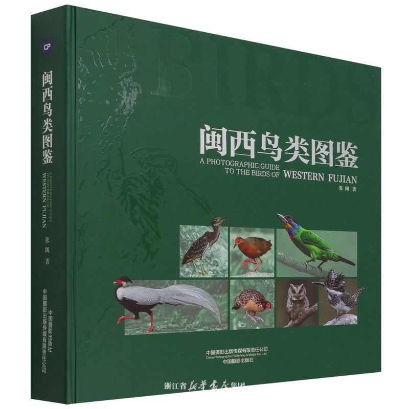 闽西鸟类图鉴（精）