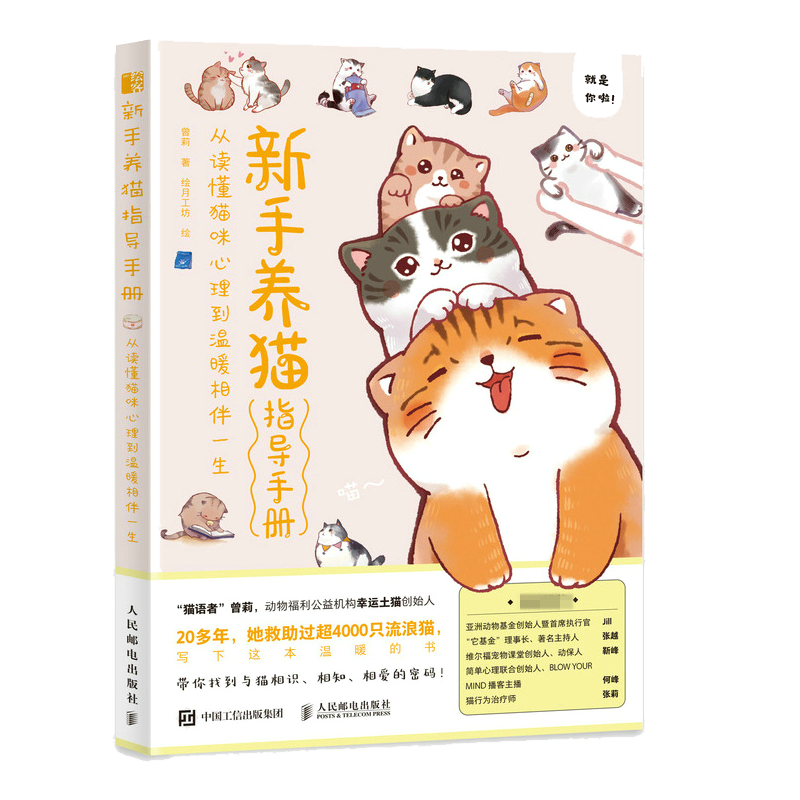 新手养猫指导手册 从读懂猫咪心理到温暖相伴一生