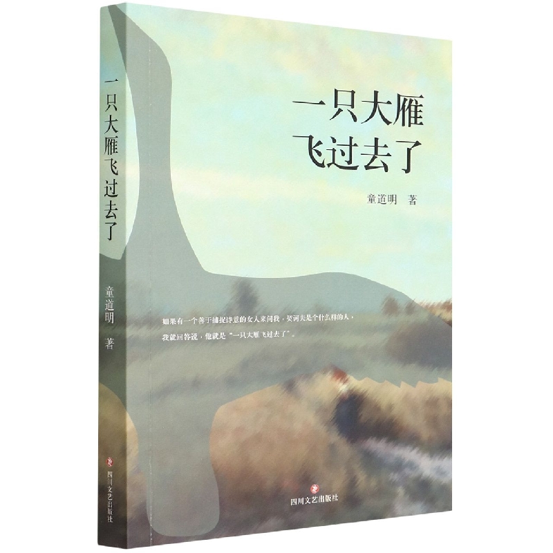 一只大雁飞过去了