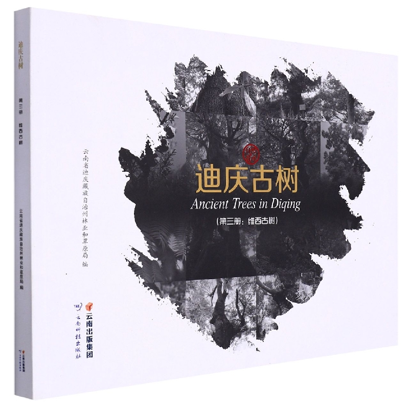 迪庆古树.第三册维西古树
