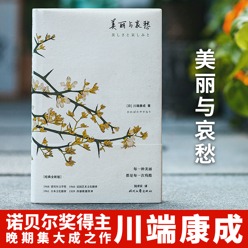 美丽与哀愁（精）