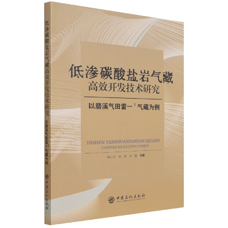 低渗碳酸盐岩气藏高效开发技术研究（以磨溪气田雷一1气藏为例）