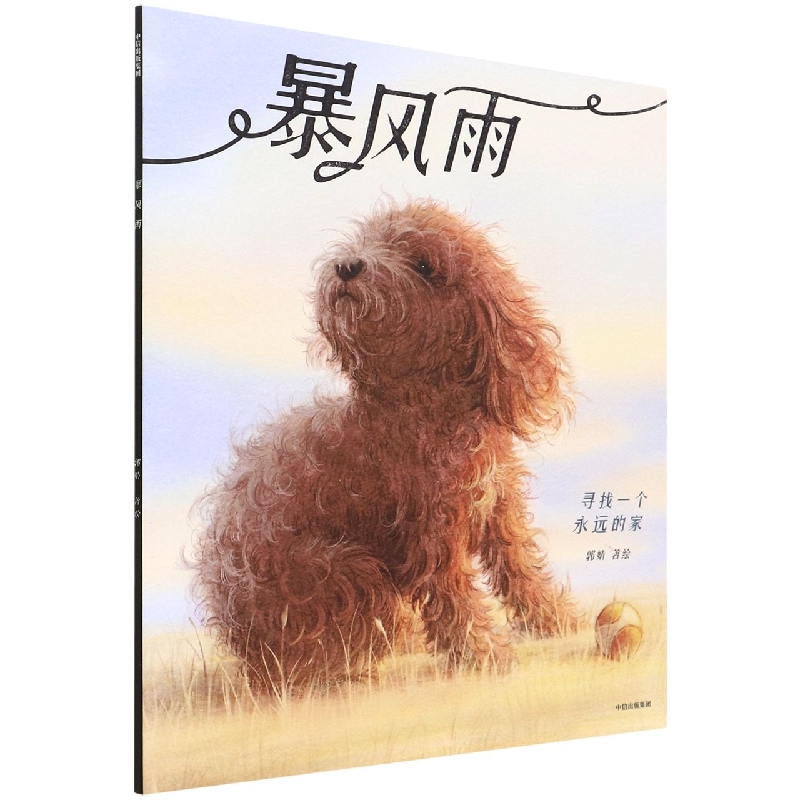 暴风雨（寻找一个永远的家）