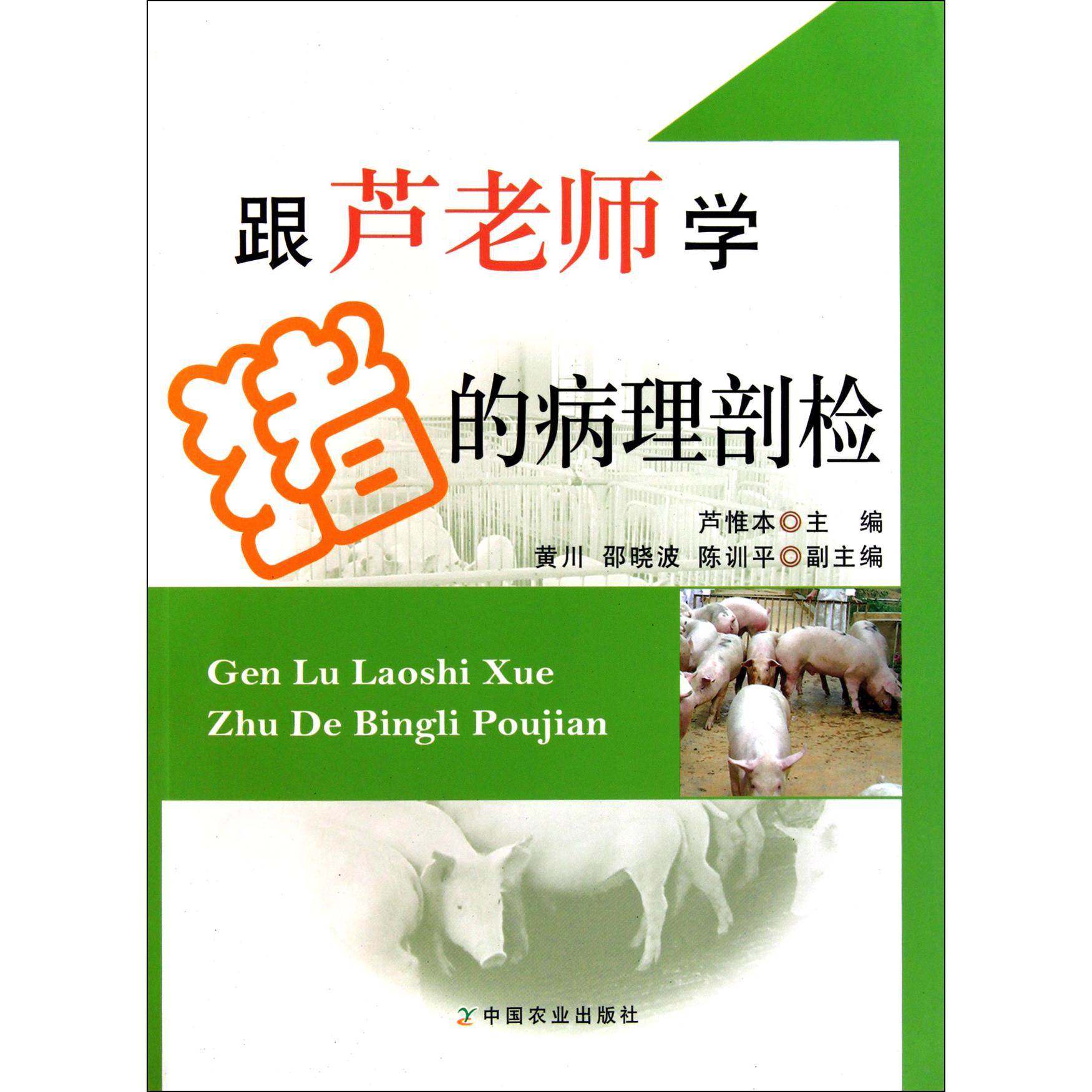 跟芦老师学猪的病理剖检