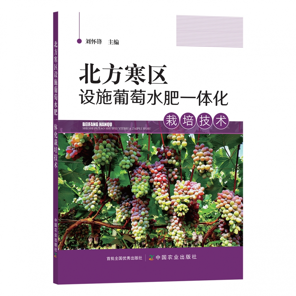 北方寒区设施葡萄水肥一体化栽培技术