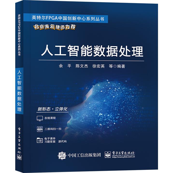 人工智能数据处理