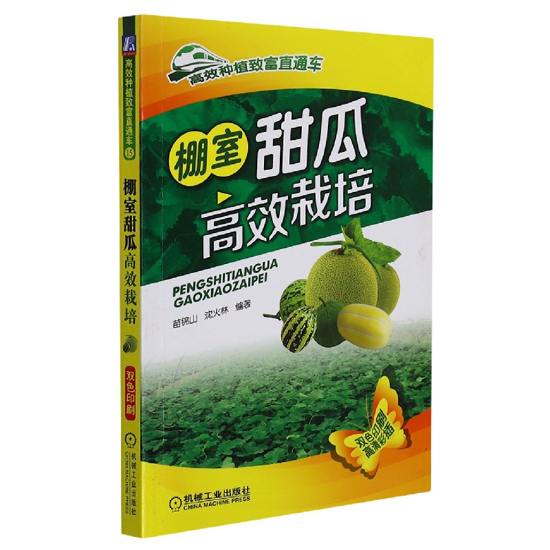 棚室甜瓜高效栽培